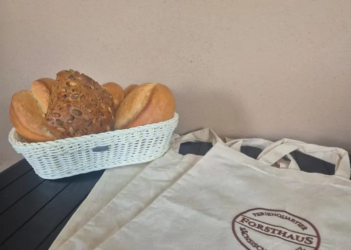 Ferienquartier Forsthaus 2 Bad Gottleuba